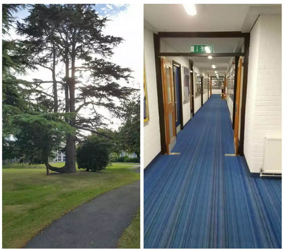 英国寄宿中学伯吉斯山女子学校